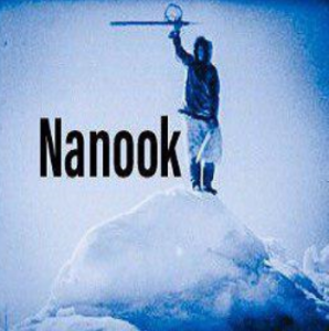 Nanook Kodi Addon Install Guide: Elysium Fork