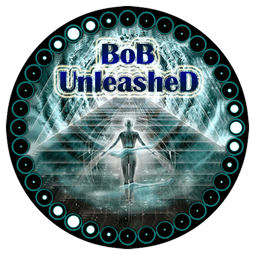 bob kodi bob unleashed