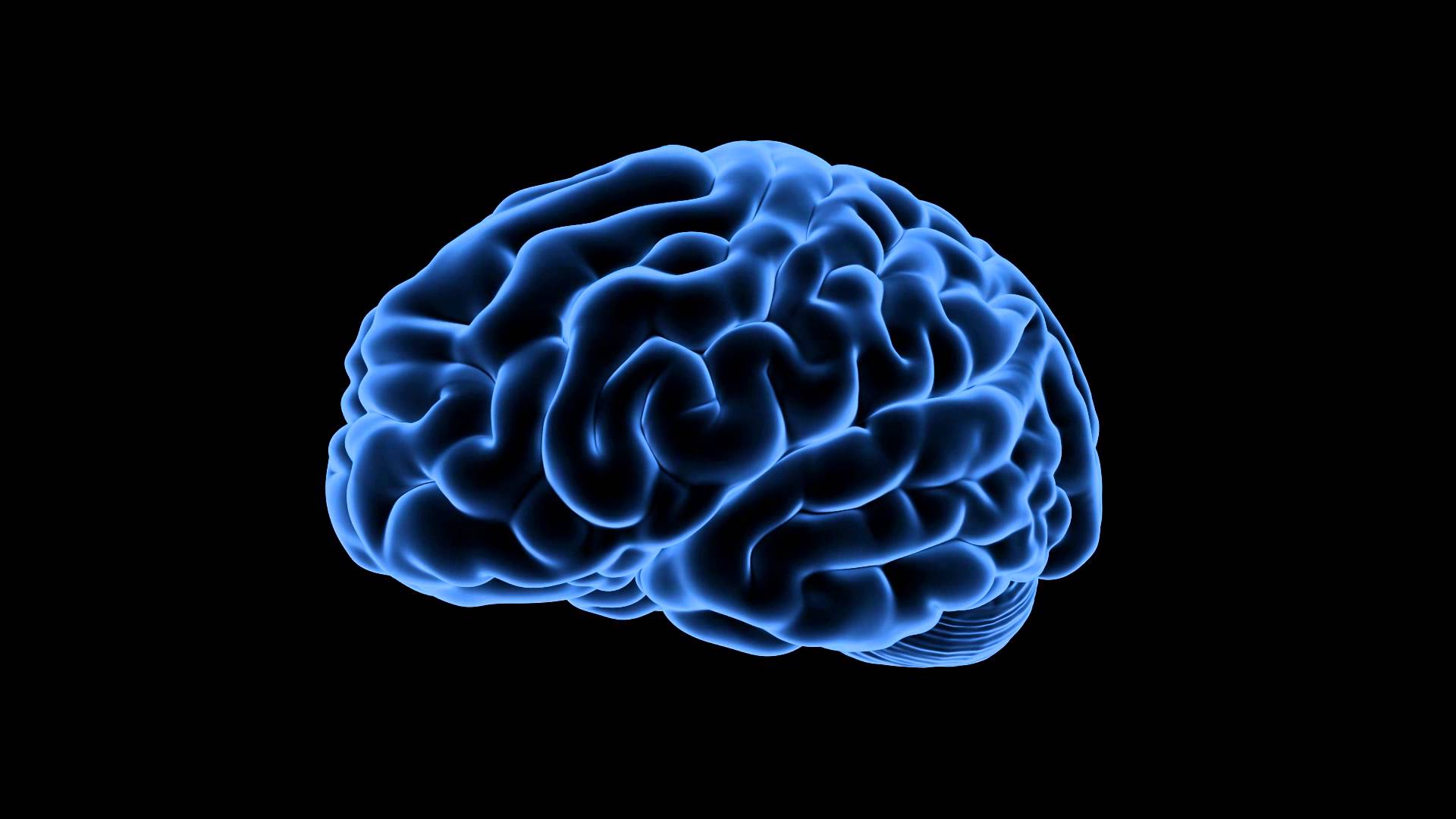 feed your mind kodi