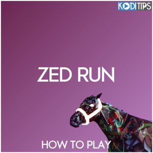 how to play zed run crypto horse racing game