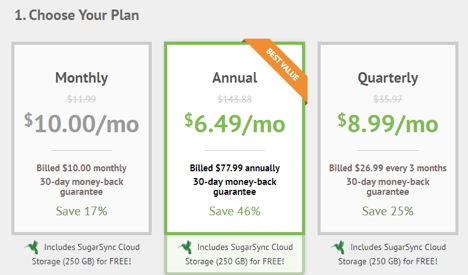 ipvanish choose your plan