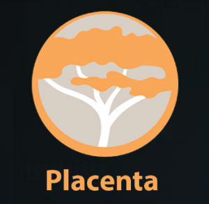 placenta alternatives